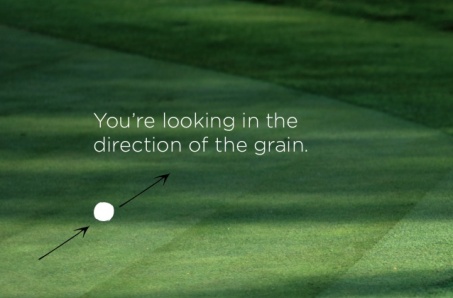 Green putt nap erba