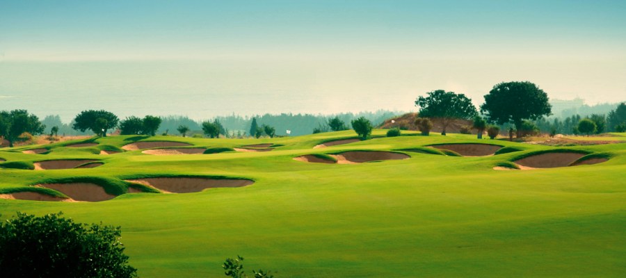 ciprp, golf