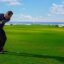 Hilton Al Houra Golfista